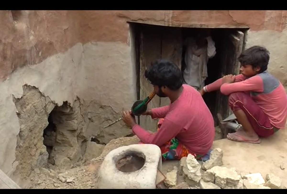 Bunch of Cobra snake At a widow's house in Kannauj