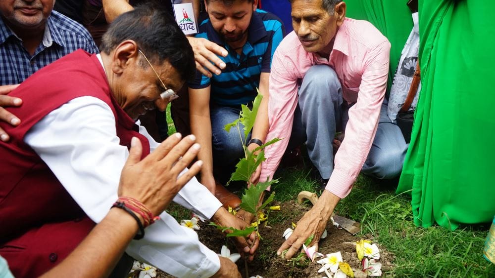 uttarakhand news: record will be made again on Harela festival, four lakh saplings planting target