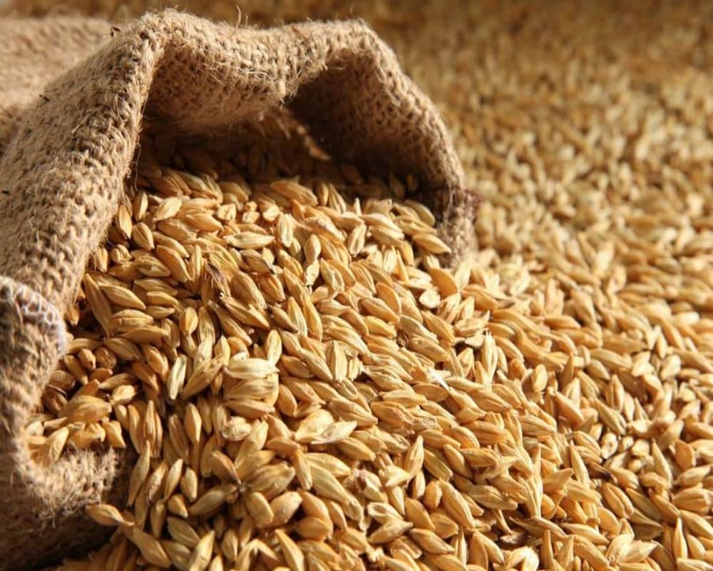 navratri significance 2019