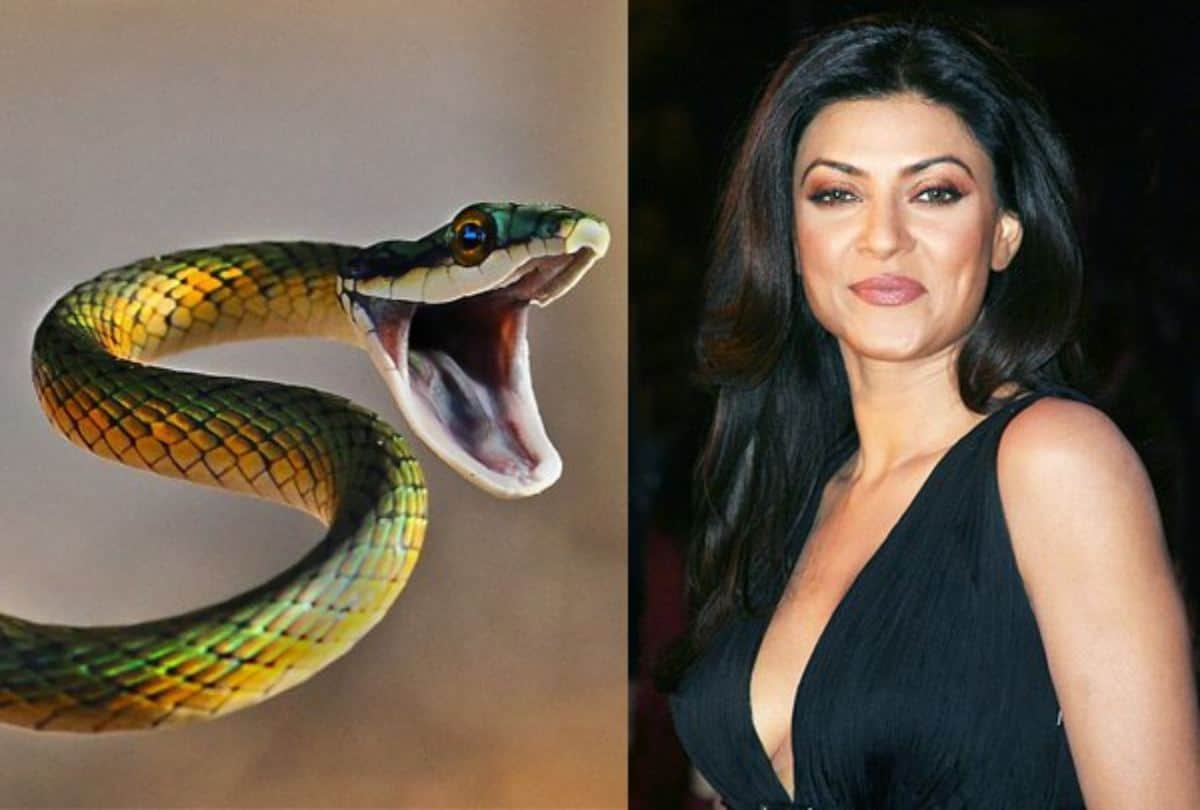 world snake day sushmita sen Has A Pet Python