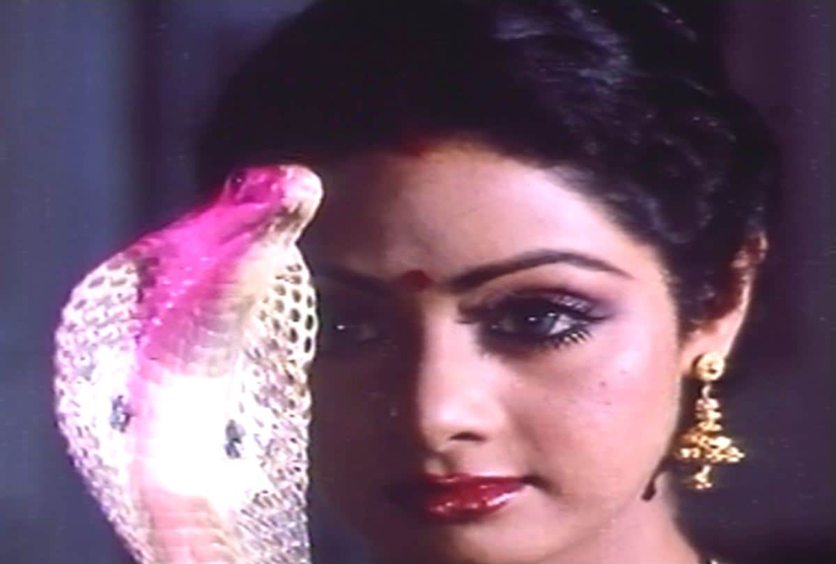sridevi special tribute of her film nagina