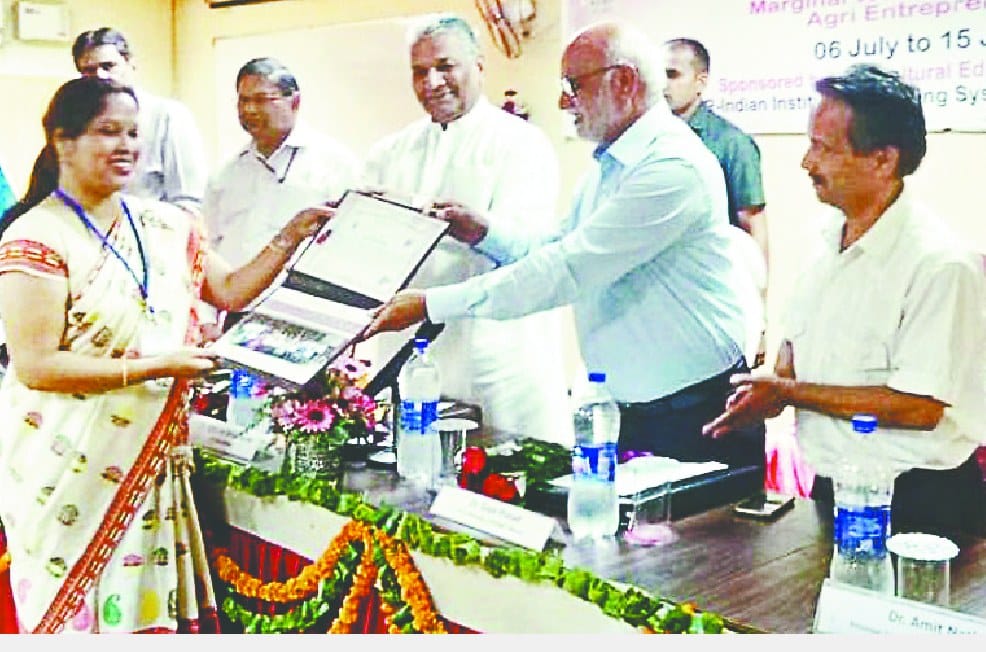 krisi me udhyamita vikas ki apar sambhavnaye