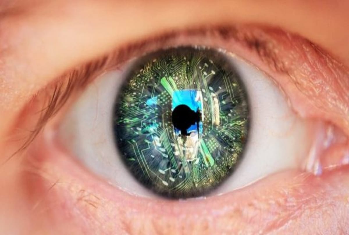 Humanity Look Like In One Million Year 
