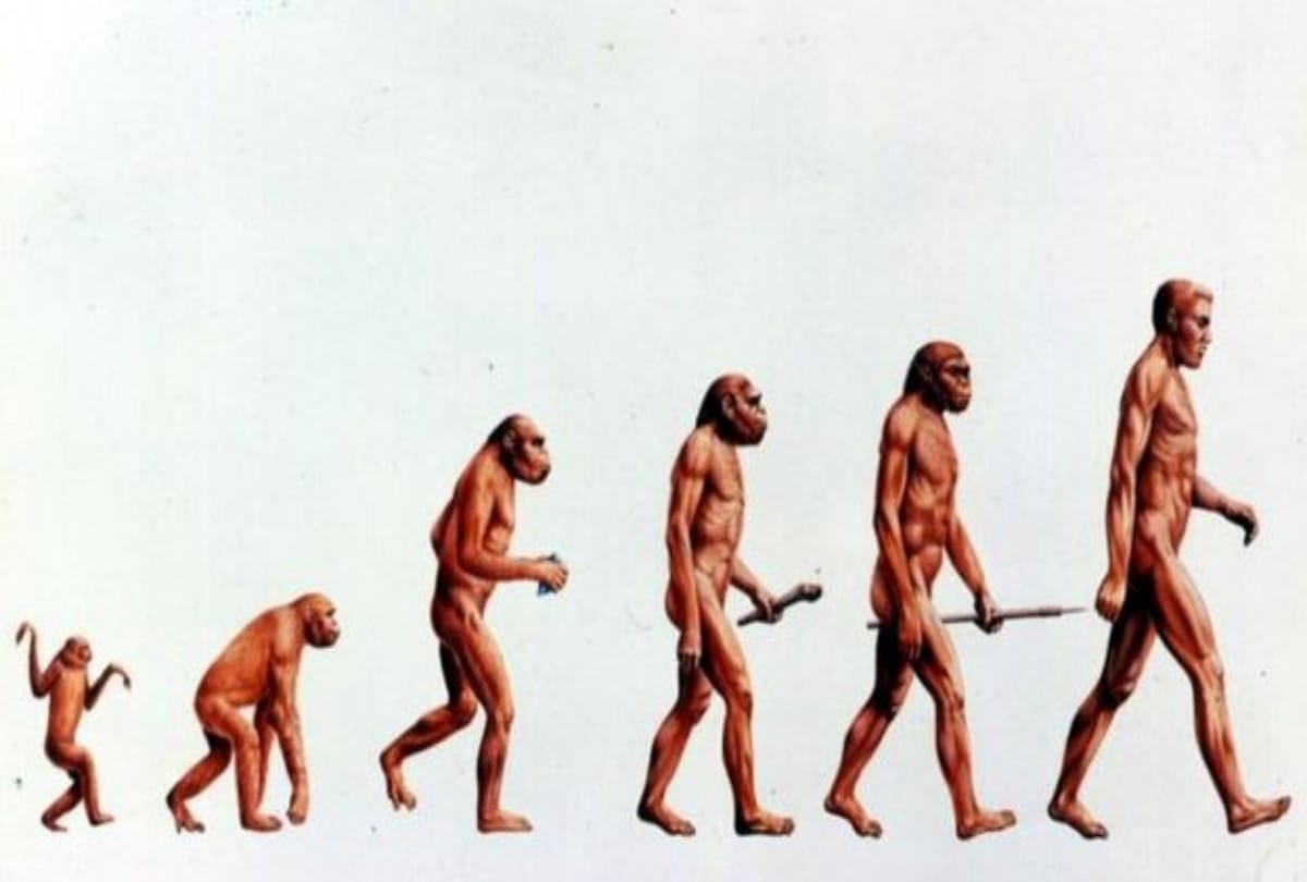 Humanity Look Like In One Million Year 
