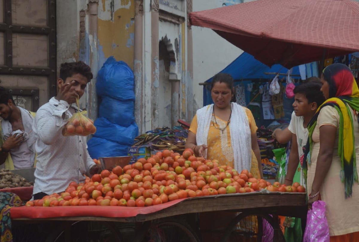 Know about make Tomato puree in home