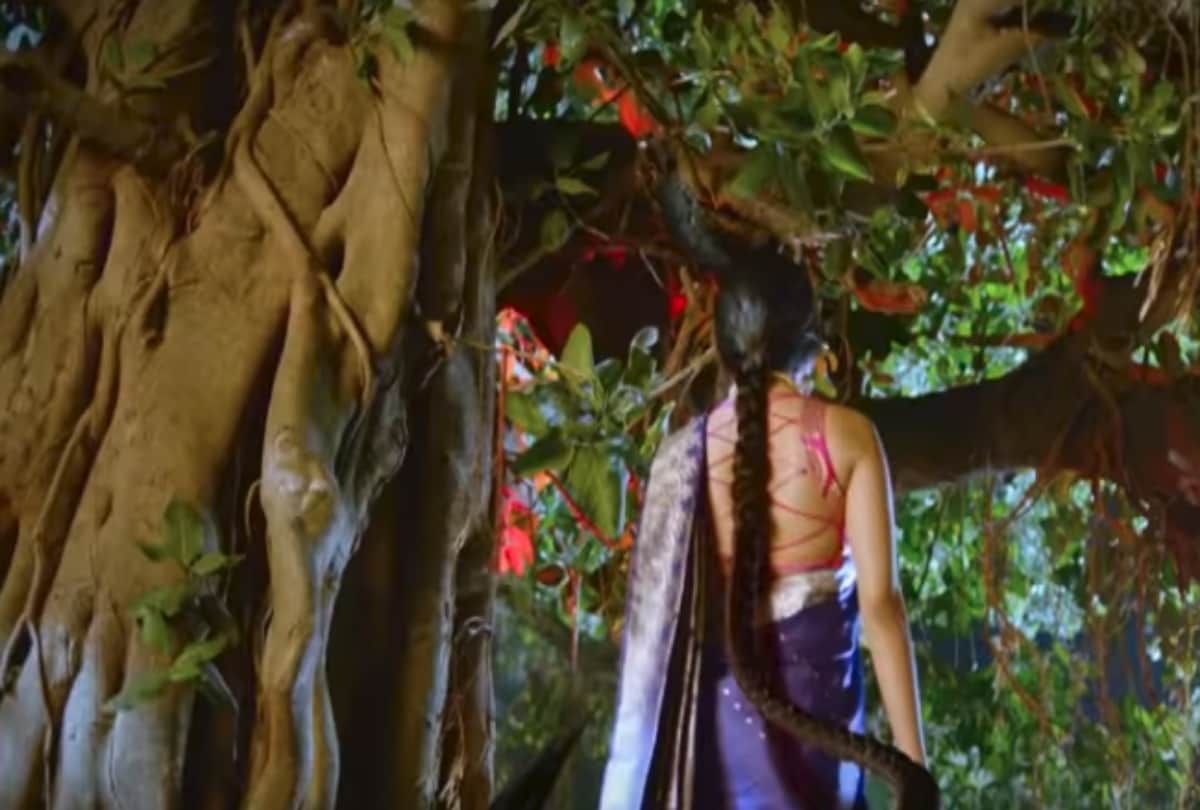 Naagin 3 top again and Nazar gets a good starting in Barc report 