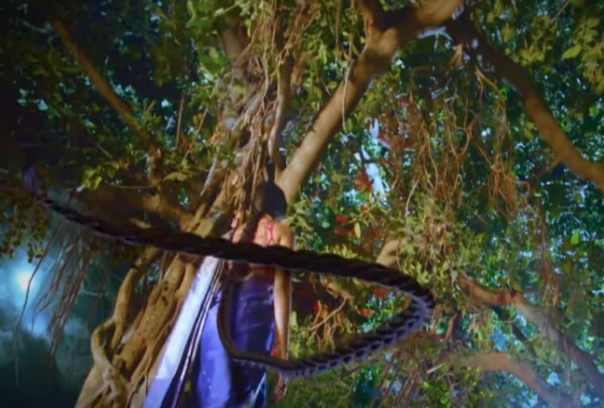 BARC Report Naagin 3 Kundali Bhagya Yeh Rishta Kya Kehlata Hai are top 10 serials this week