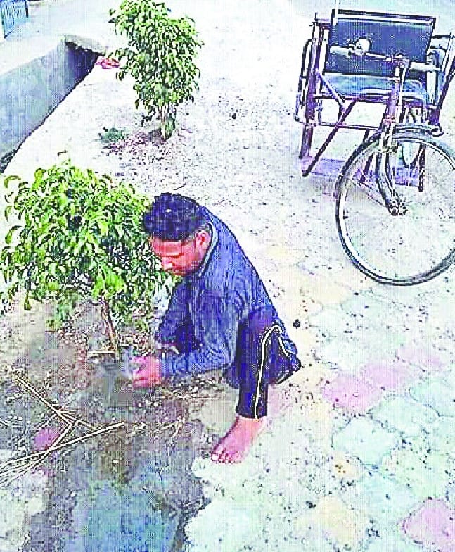 Happiness to the environment lover Dipendra ki jazbe