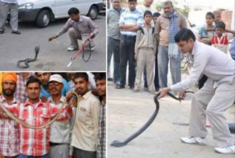 Chandigarh, World Snake Day, Snakeman of India Satish Kumar