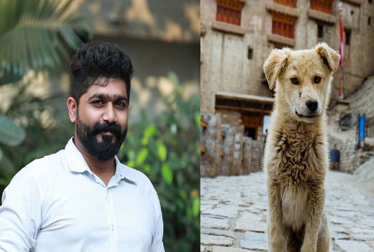 Yash Sheth- Created an App for Animal Rescue, connects animal lovers across India