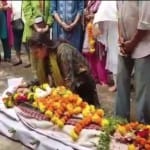 रीता भादुड़ी