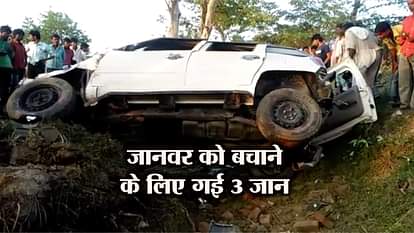 three died four injured in road accident in raibreilly for saving animal 
