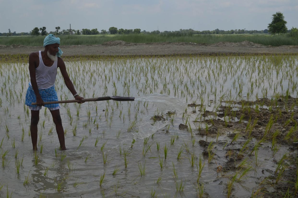 Farmers are getting water in the fields