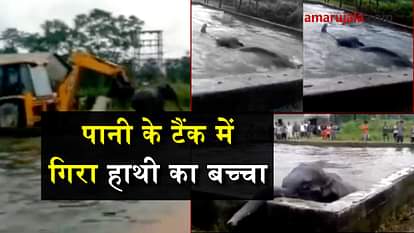 in west bengal Elephant calf fell into water tank, rescued