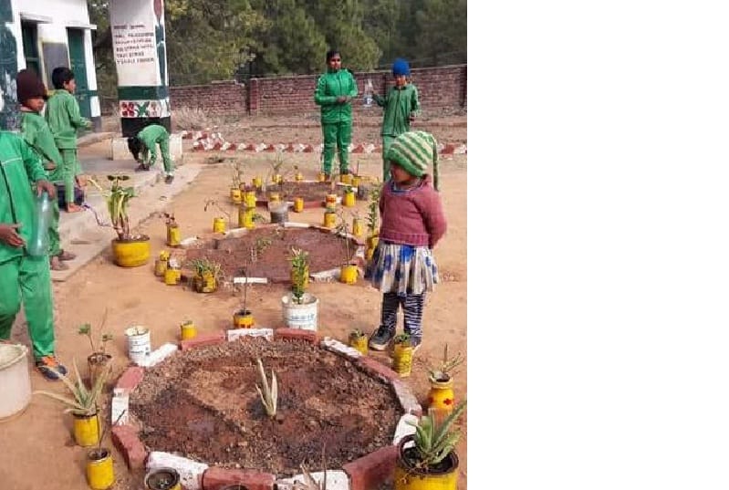 children turned waste to lawn
