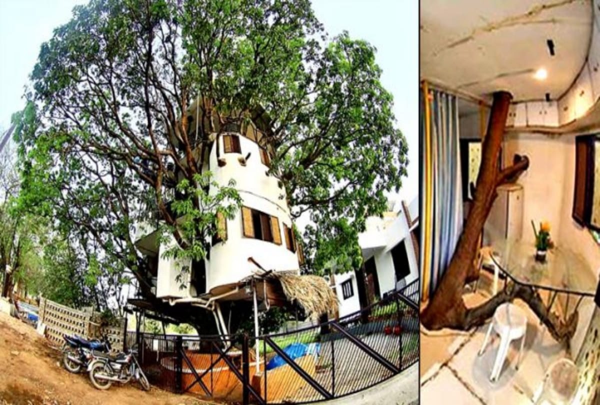 Four storey home made by an iit graduate on mango tree