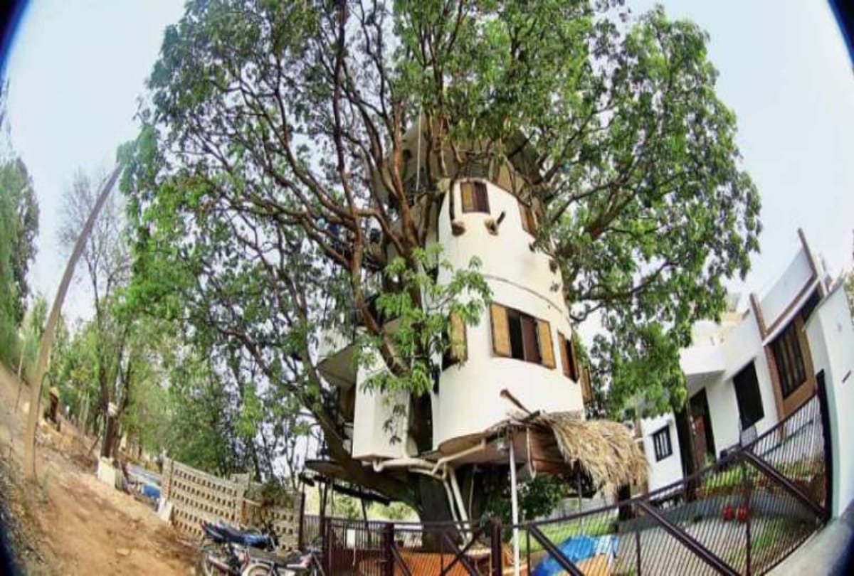 Four storey home made by an iit graduate on mango tree
