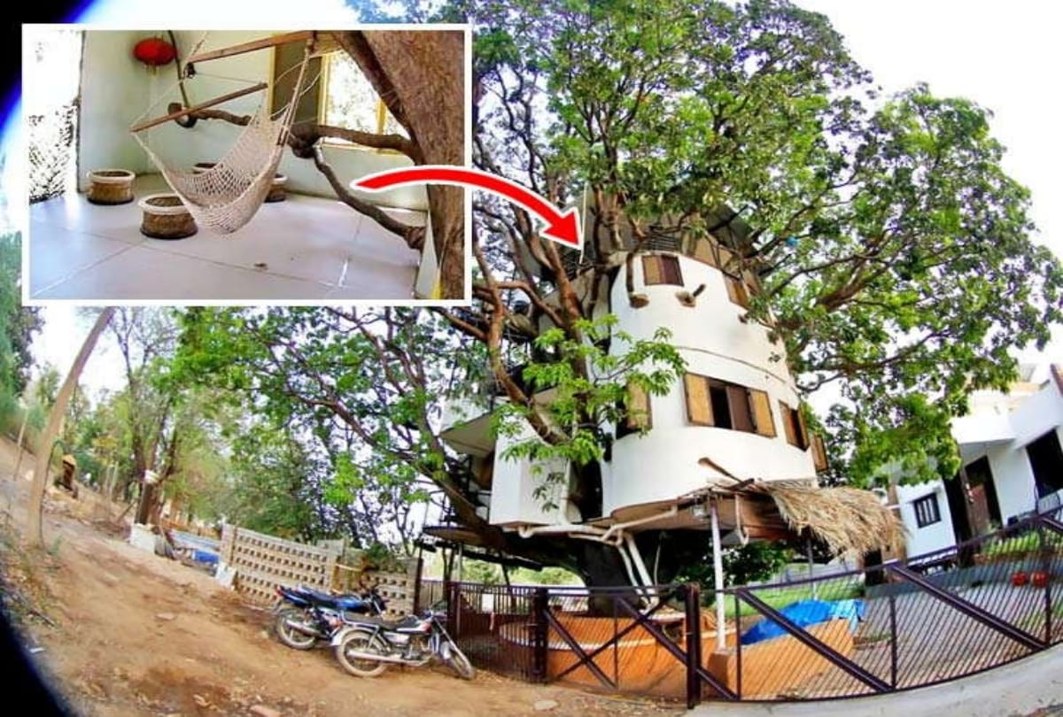 Four storey home made by an iit graduate on mango tree