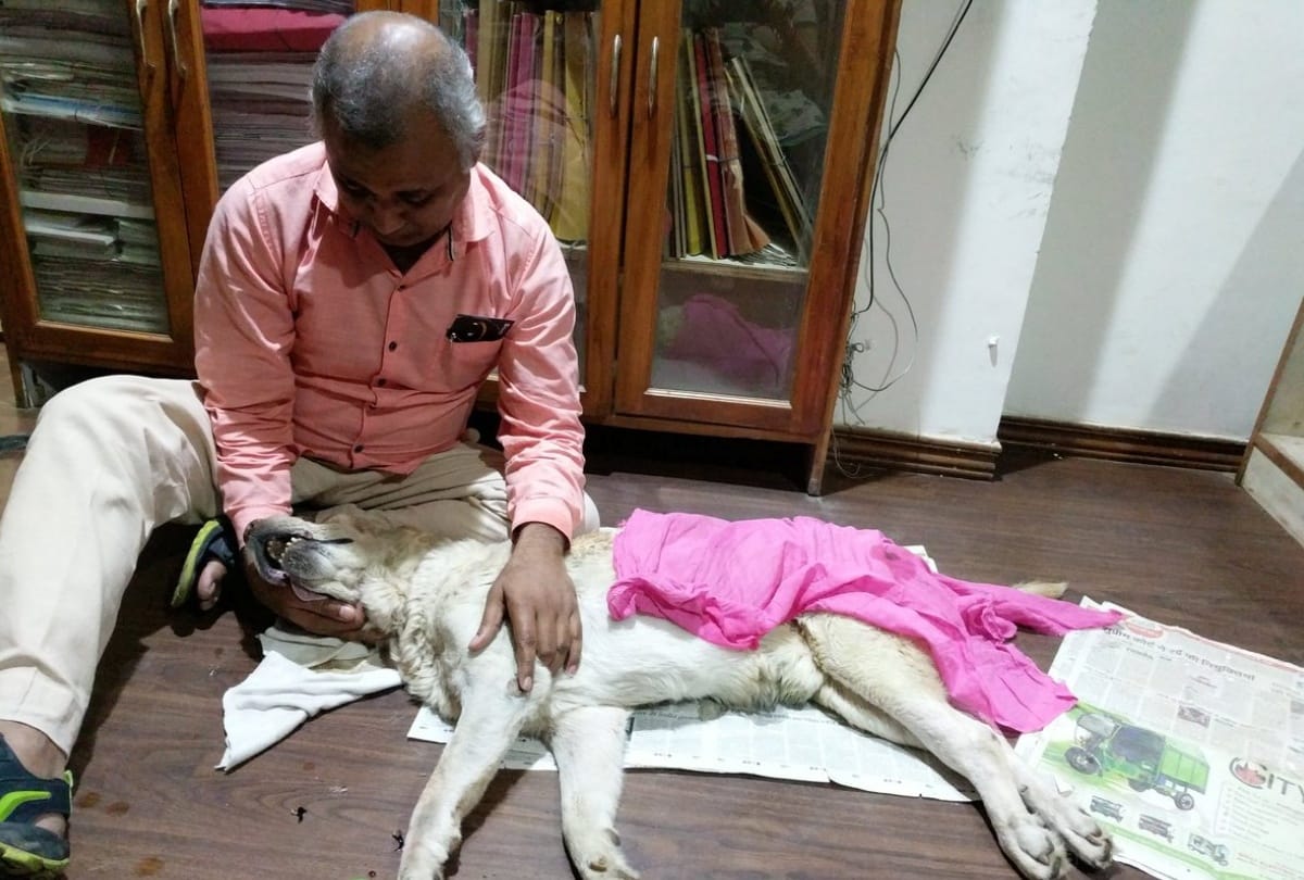 kejriwal ex minister somnath bharti dog don died once wife alleged don of attacking her