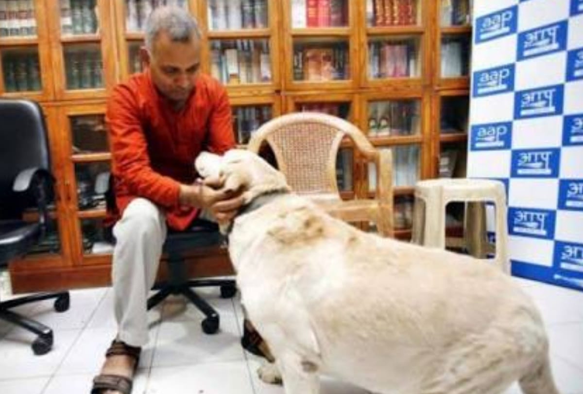 kejriwal ex minister somnath bharti dog don died once wife alleged don of attacking her