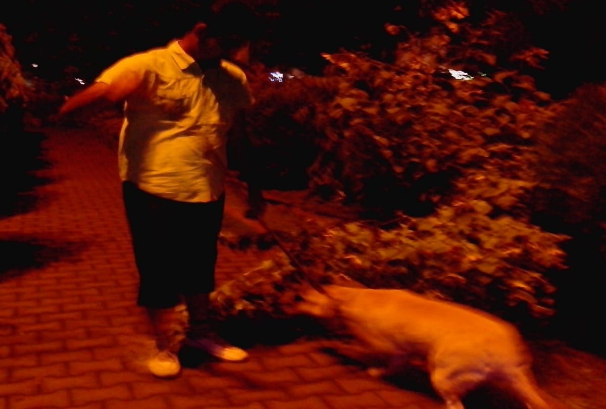 kejriwal ex minister somnath bharti dog don died once wife alleged don of attacking her