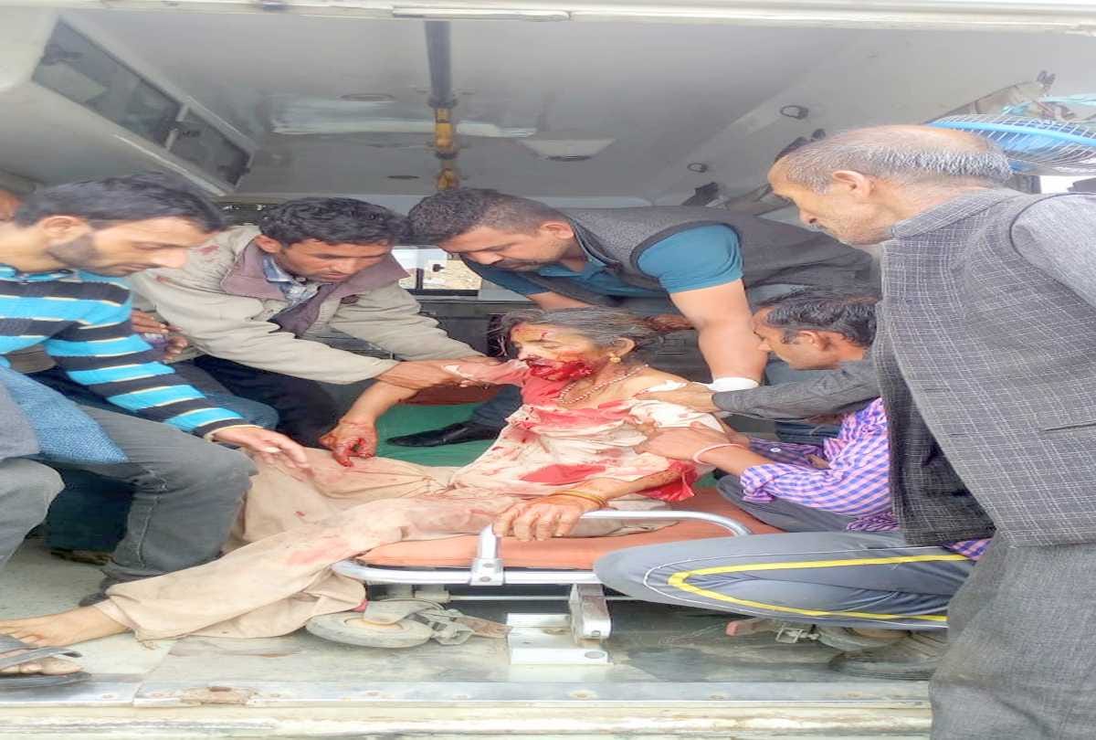 WILD BEAR ATTACKED A WOMAN AT HARIPURDHAR SIRMOUR