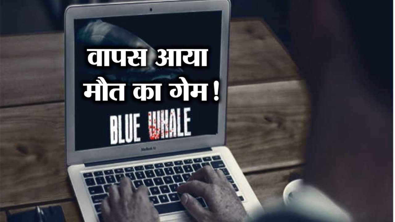 BLUE WHALE 