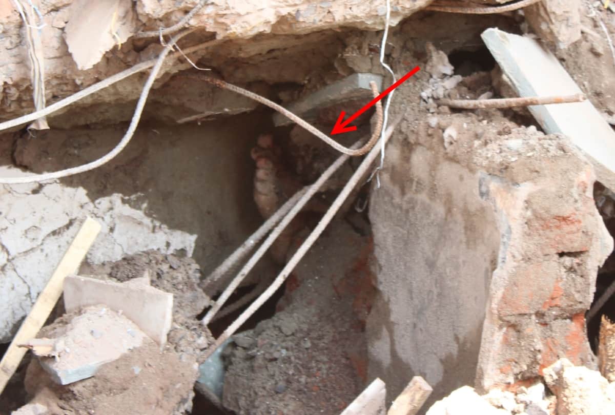 two buildings collapsed in greater noida shahberi, see horrific pictures