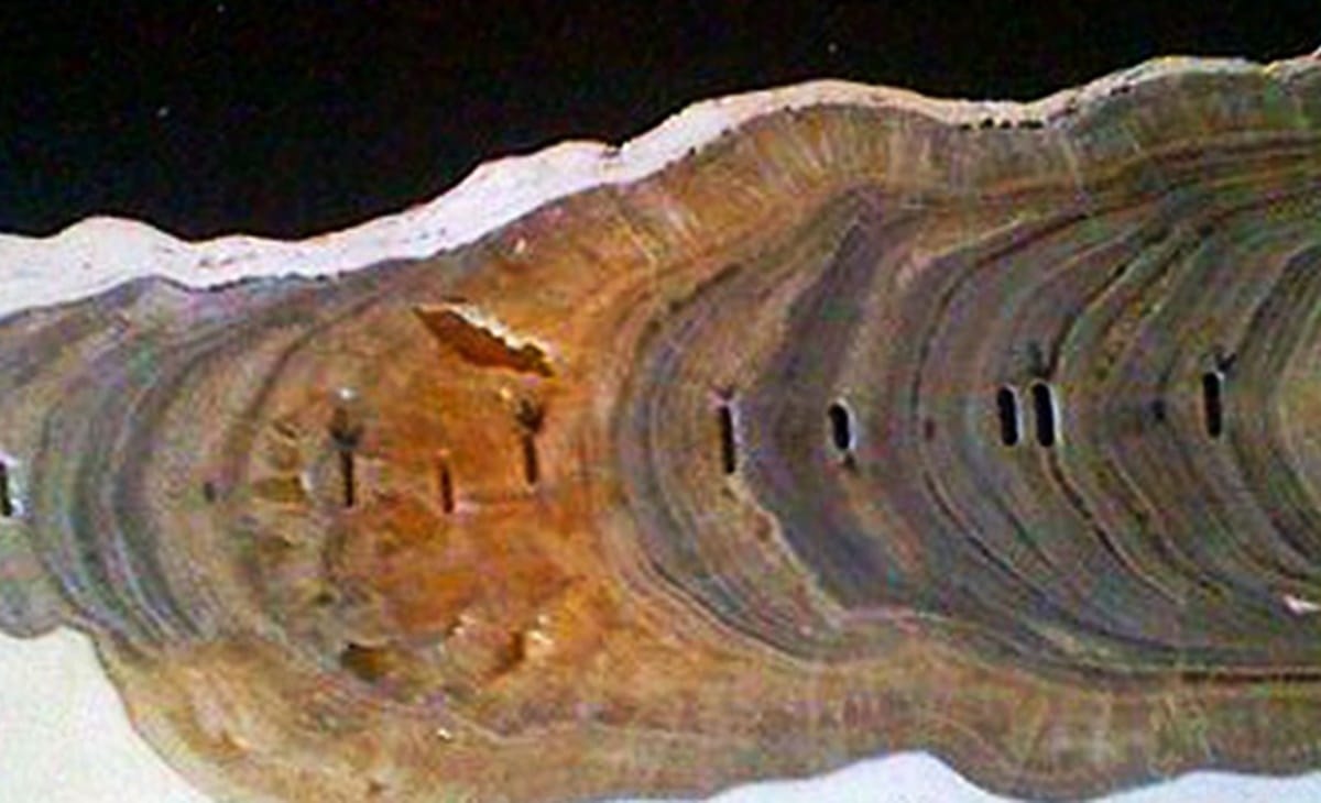 Scientists have created a new phase in Earth geological history and named it Meghalayan Age