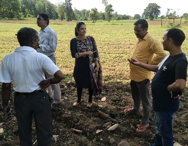 कृषि विभाग की लापरवाही के चलते 230 एकड़ भूमि बंजर होने के कगार पर