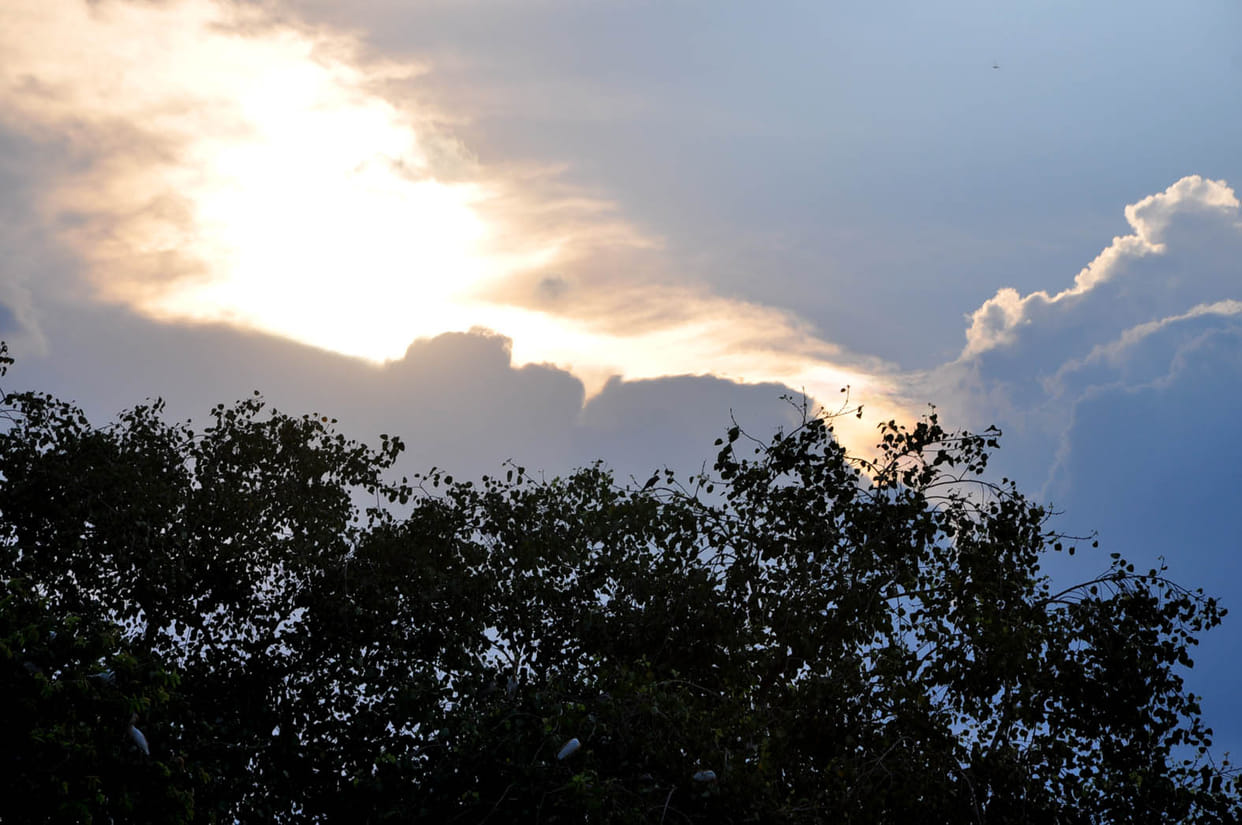 Unexpected clouds, desperation