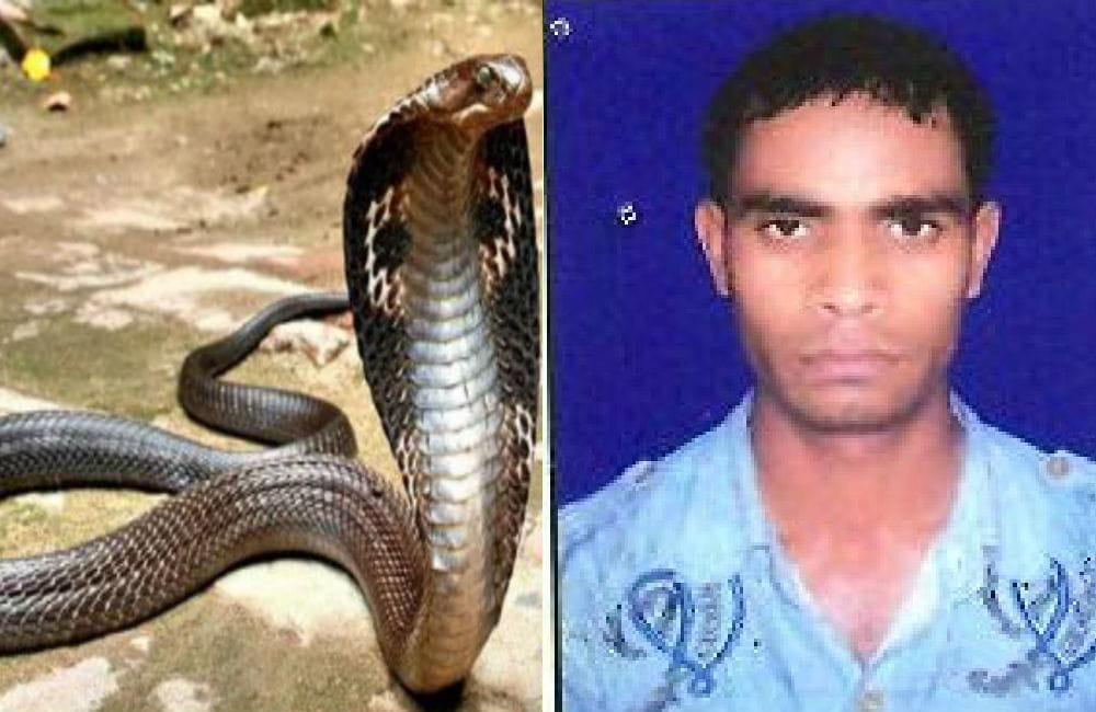 Nagin revenge after naag death in mathura