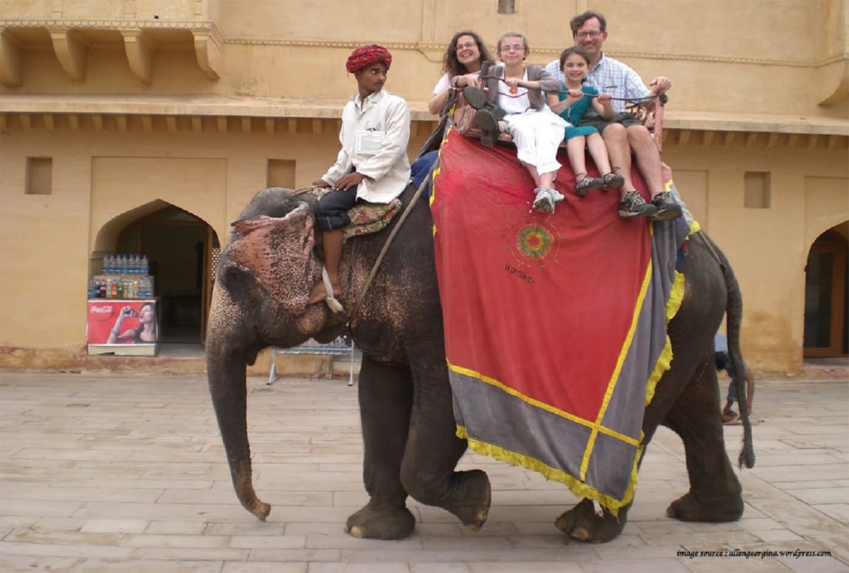 How to Ride Without Registration by Elephants: High Court