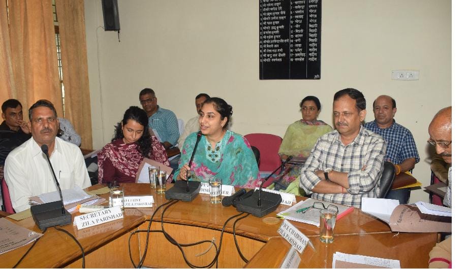 जिप सदस्यों ने अधिकारियों को बताईं समस्याएं