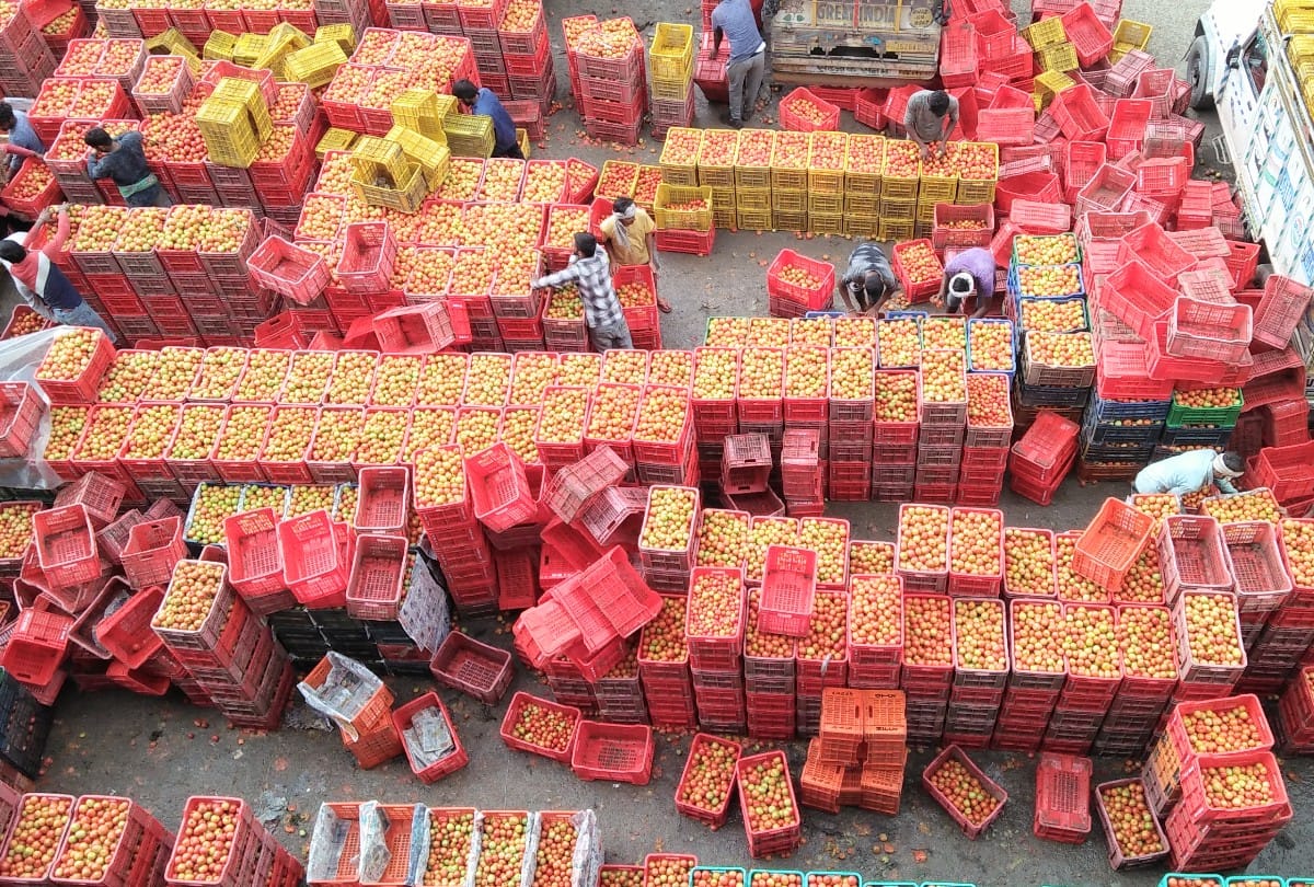Truck strike in himachal no tomato supply to other states