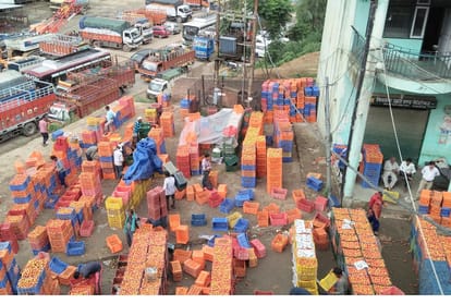 Truck strike in himachal no tomato supply to other states