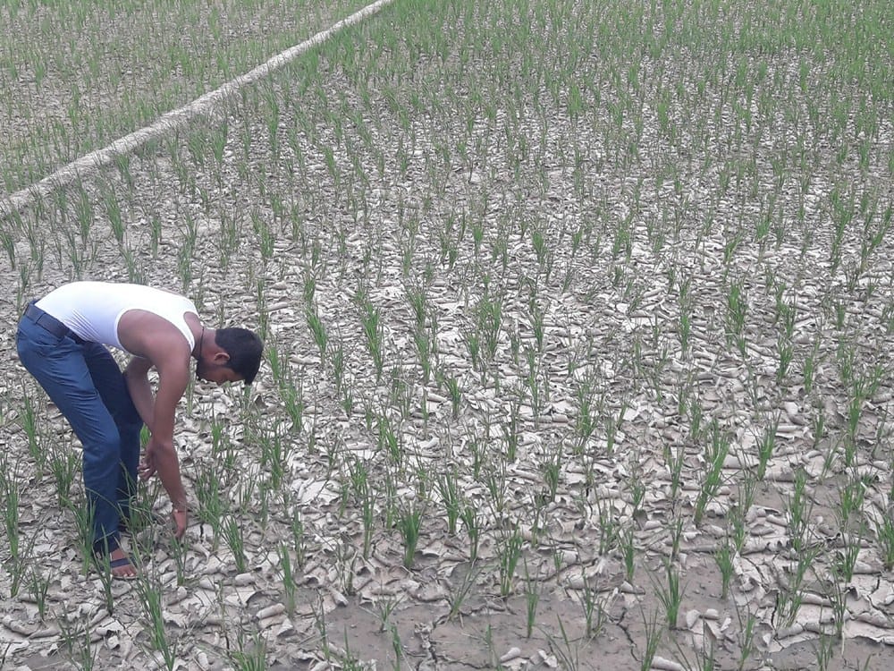 farmers waiting for rain