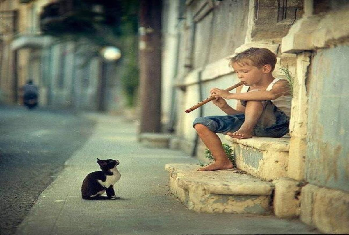 Fifteen Most emotional pictures of the world 