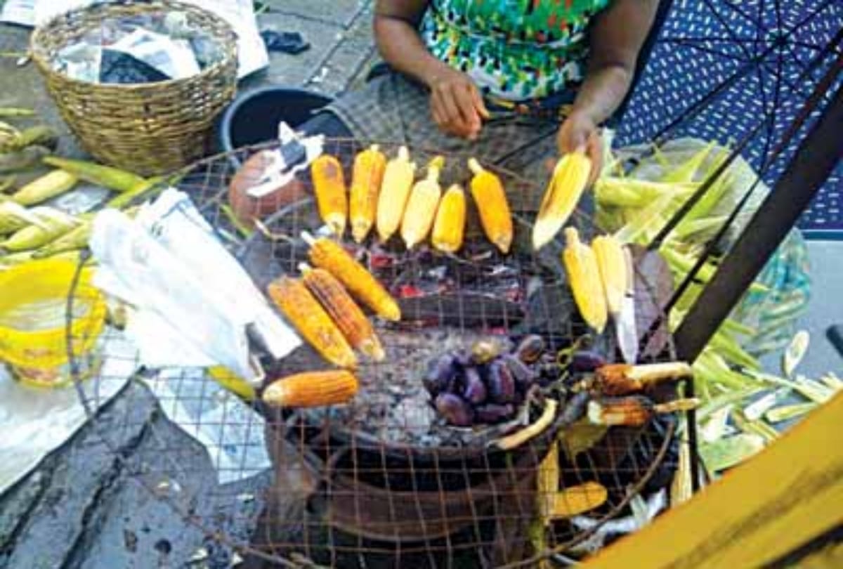 reasons why you should never eat roadside corn