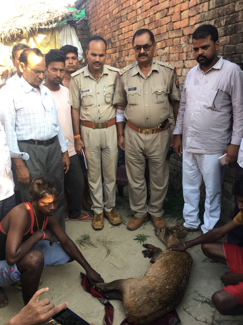 Delayed deer rescued villagers