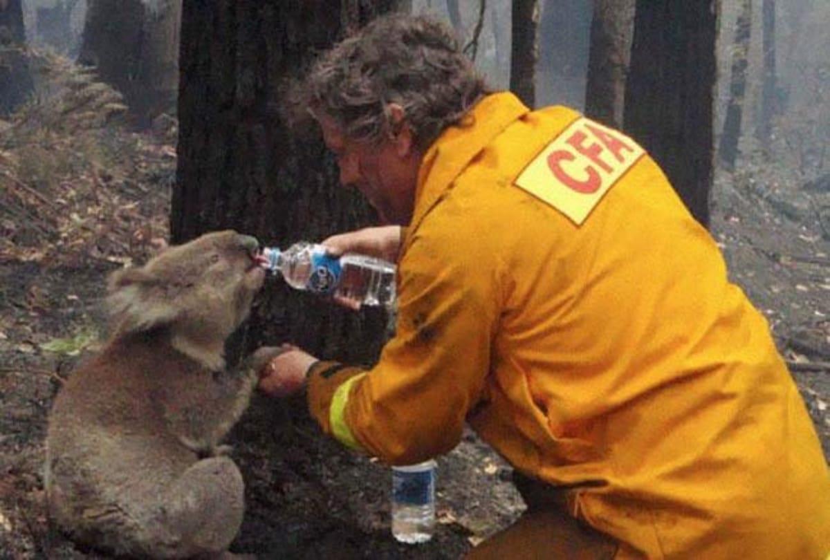 Fifteen Most emotional pictures of the world 