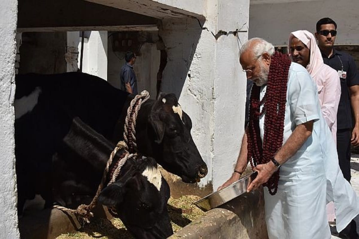 PM Modi visit Rwanda, Uganda & South Africa from July 23-27 says MEA