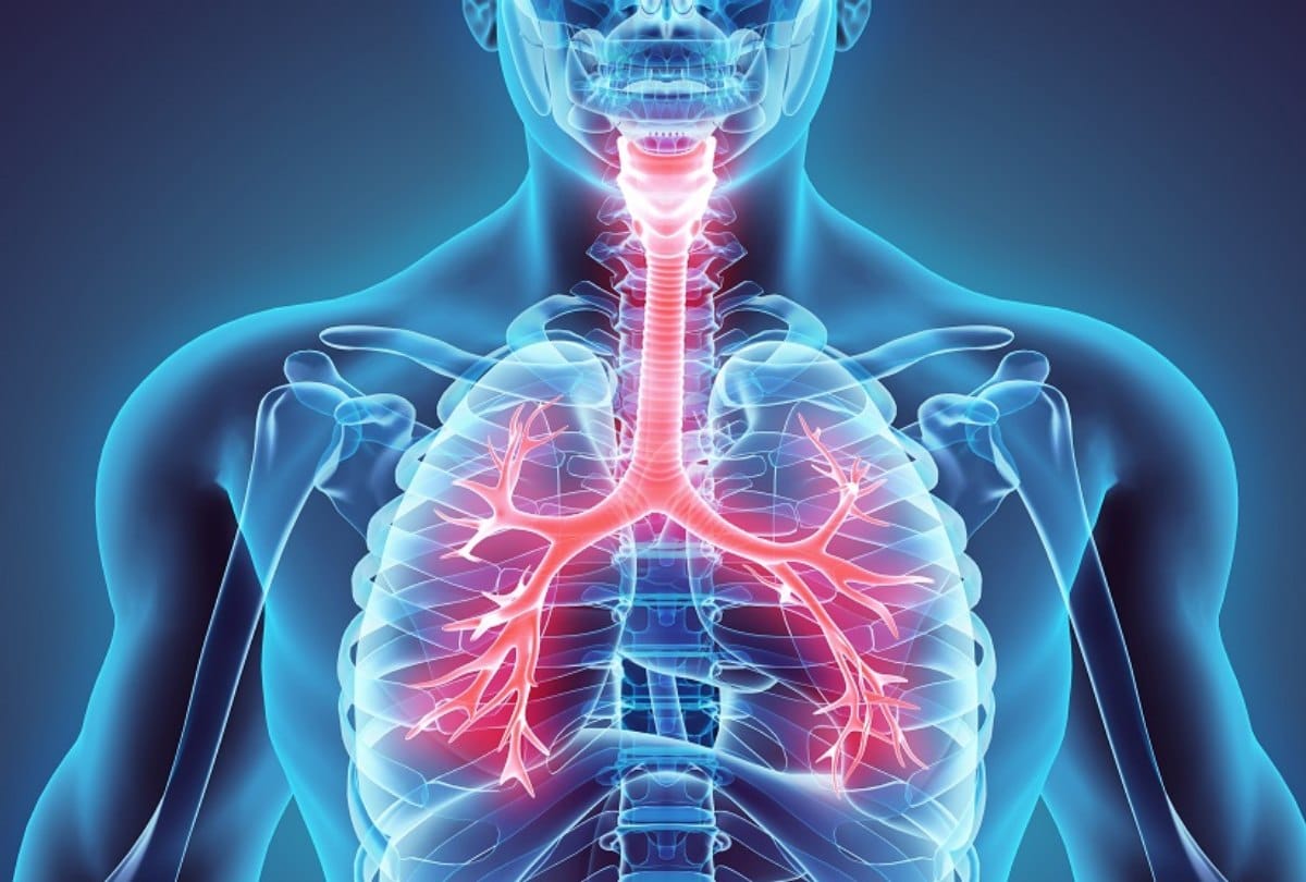 60 percent people suffering from respiratory diseases in Darlaghat near ambuja cement factory