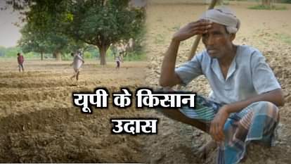  Fewer rains in UP's Faizabad cause distress to farmers 
