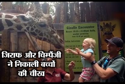 Video:चिड़ियाघर पहुंचे बच्चों का जानवरों ने किया ऐसा हाल - Animal Videos  Children Attack By Animals Zoo Video- Amar Ujala Hindi News Live