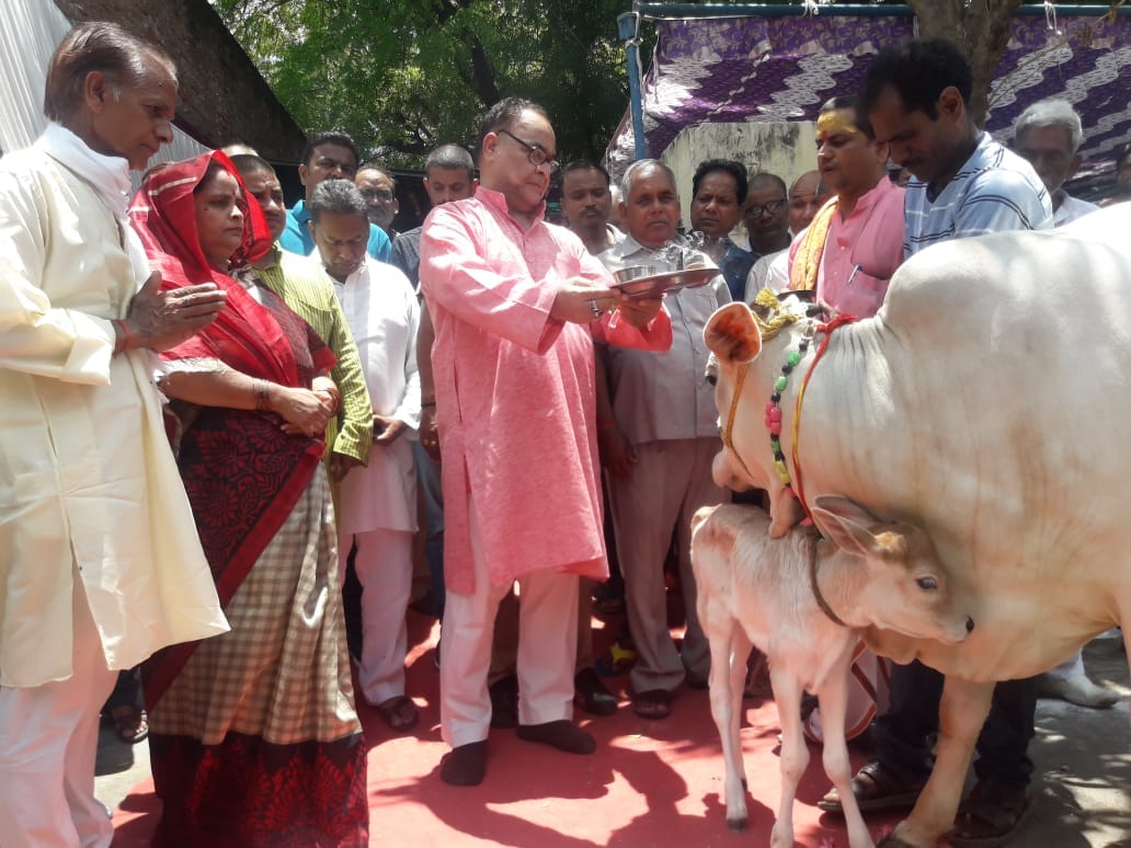 bukkal nawab distributed cow in lucknow
