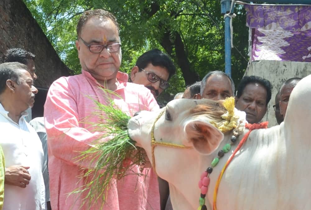 BJP MLC bukkal nawab did godan in lucknow.