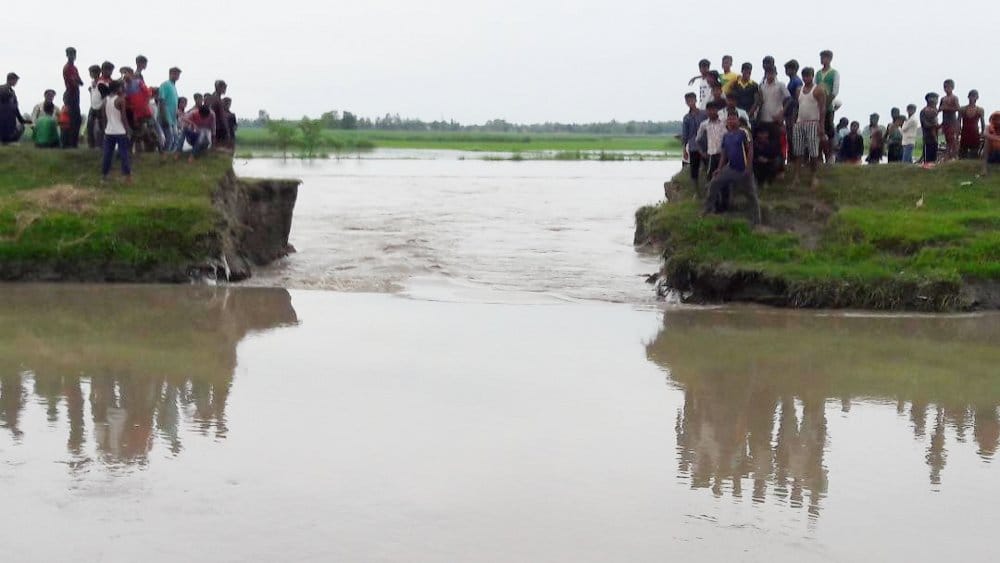 canal tracks break, crops waste
