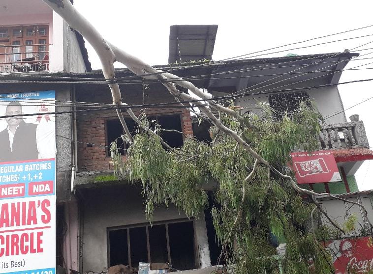 बिजली की लाइन पर टहनी गिरने से टूटे तार