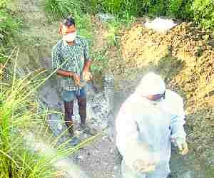Glanders infectious horse forced kill.
